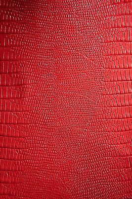 포토 JPG 백그라운드 무늬 재질 근접촬영 사람없음 빨간색 직물 가죽 질감 악어가죽 국내포토 뷰포인트 컬러 파일형식