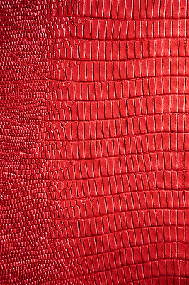 포토 JPG 백그라운드 무늬 재질 근접촬영 사람없음 빨간색 직물 가죽 질감 악어가죽 국내포토 뷰포인트 컬러 파일형식