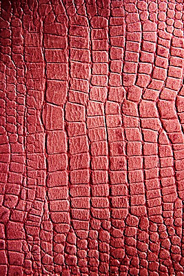 포토 JPG 백그라운드 무늬 재질 근접촬영 사람없음 빨간색 직물 가죽 질감 악어가죽 국내포토 뷰포인트 컬러 파일형식