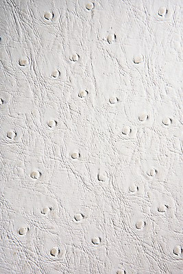 포토 JPG 백그라운드 무늬 재질 근접촬영 사람없음 흰색 직물 가죽 질감 악어가죽 국내포토 뷰포인트 컬러 파일형식