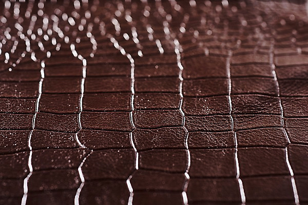 포토 JPG 백그라운드 무늬 재질 근접촬영 사람없음 갈색 직물 가죽 질감 악어가죽 국내포토 뷰포인트 컬러 파일형식