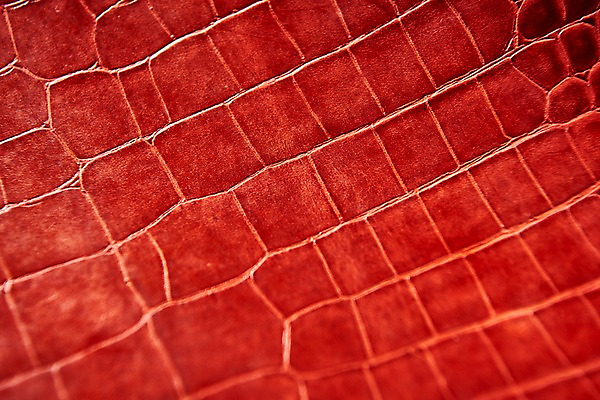 포토 JPG 백그라운드 무늬 재질 근접촬영 사람없음 빨간색 직물 가죽 질감 악어가죽 국내포토 뷰포인트 컬러 파일형식