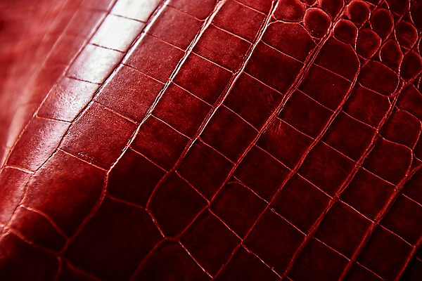 포토 JPG 백그라운드 무늬 재질 근접촬영 사람없음 빨간색 직물 가죽 질감 악어가죽 국내포토 뷰포인트 컬러 파일형식