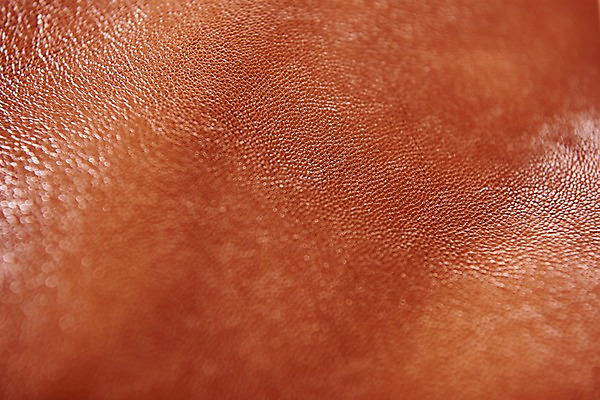 포토 JPG 백그라운드 재질 근접촬영 사람없음 갈색 직물 가죽 질감 국내포토 뷰포인트 컬러 파일형식