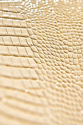 포토 JPG 백그라운드 무늬 재질 근접촬영 사람없음 직물 가죽 질감 베이지색 악어가죽 국내포토 뷰포인트 컬러 파일형식