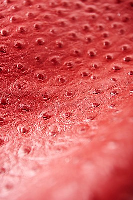 포토 JPG 백그라운드 무늬 재질 근접촬영 사람없음 빨간색 직물 가죽 질감 악어가죽 국내포토 뷰포인트 컬러 파일형식