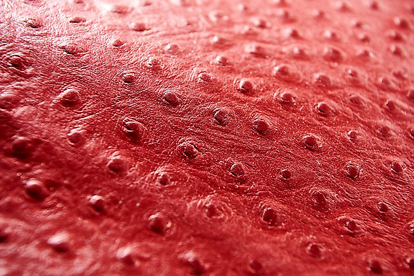 포토 JPG 백그라운드 무늬 재질 근접촬영 사람없음 빨간색 직물 가죽 질감 악어가죽 국내포토 뷰포인트 컬러 파일형식