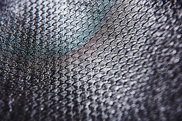 포토 JPG 백그라운드 무늬 재질 근접촬영 사람없음 검은색 직물 가죽 질감 국내포토 뷰포인트 컬러 파일형식