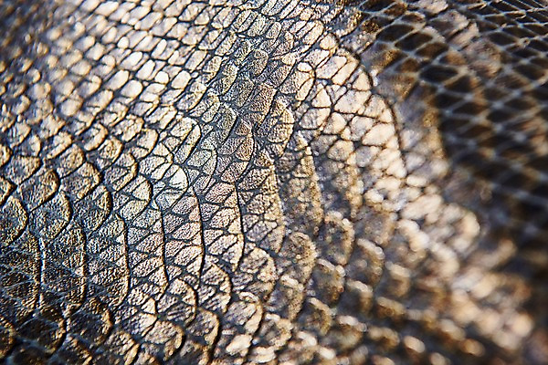 포토 JPG 백그라운드 무늬 재질 근접촬영 사람없음 검은색 금색 직물 가죽 질감 악어가죽 국내포토 뷰포인트 컬러 파일형식