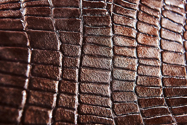 포토 JPG 백그라운드 무늬 재질 근접촬영 사람없음 갈색 직물 가죽 질감 악어가죽 국내포토 뷰포인트 컬러 파일형식