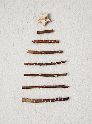 포토 JPG 스튜디오촬영 백그라운드 크리스마스 겨울 실내 사람없음 장식 크리스마스트리 나뭇가지 별모형 국내포토 나무 계절 기념일 별 내부 모형 파일형식