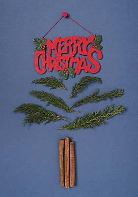 포토 JPG 스튜디오촬영 백그라운드 크리스마스 겨울 나뭇잎 실내 사람없음 장식 나뭇가지 국내포토 나무 계절 기념일 잎 내부 파일형식