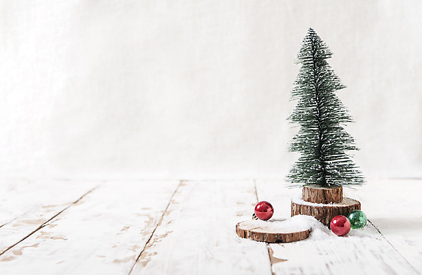 포토 JPG 스튜디오촬영 나무 백그라운드 크리스마스장식 크리스마스 겨울 실내 사람없음 장식 크리스마스트리 흰색 국내포토 식물 계절 기념일 컬러 내부 파일형식