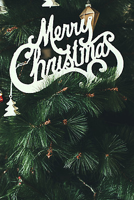 포토 JPG 스튜디오촬영 백그라운드 크리스마스장식 크리스마스 겨울 실내 사람없음 장식 크리스마스트리 국내포토 계절 기념일 내부 파일형식