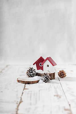 포토 JPG 스튜디오촬영 백그라운드 크리스마스 겨울 실내 사람없음 장식 흰색 솔방울 국내포토 계절 기념일 컬러 내부 파일형식