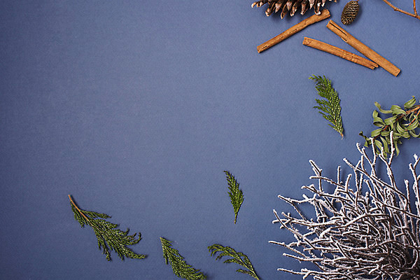 포토 JPG 스튜디오촬영 백그라운드 크리스마스 겨울 나뭇잎 실내 사람없음 장식 나뭇가지 눈 솔방울 국내포토 자연요소 나무 계절 기념일 잎 날씨 내부 파일형식