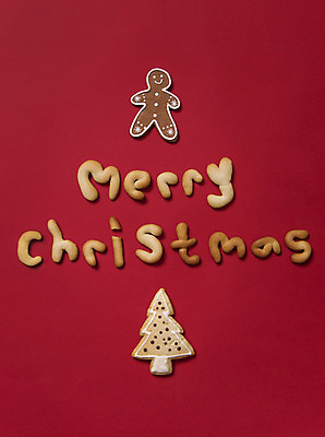 포토 JPG 스튜디오촬영 백그라운드 크리스마스 겨울 실내 사람없음 장식 빨간색 크리스마스트리 쿠키 진저맨 국내포토 계절 기념일 컬러 디저트 내부 진저쿠키 파일형식