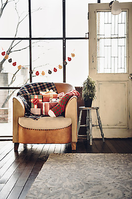 포토 JPG 스튜디오촬영 식물 백그라운드 크리스마스 겨울 창문 집안 양말 실내 사람없음 장식 선물상자 소파 문 카펫 담요 협탁 가랜드 국내포토 계절 기념일 가구 의자 선물 내부 상자 파티용품 파일형식