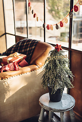 포토 JPG 스튜디오촬영 백그라운드 크리스마스 겨울 창문 집안 양말 실내 사람없음 장식 선물상자 소파 크리스마스트리 담요 체크무늬 협탁 가랜드 별모형 국내포토 계절 기념일 별 가구 무늬 의자 선물 내부 상자 모형 파티용품 파일형식