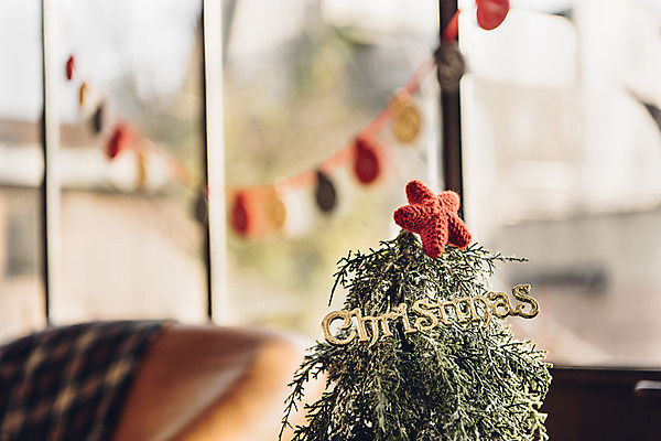 포토 JPG 스튜디오촬영 백그라운드 크리스마스 겨울 실내 사람없음 아웃포커스 장식 소파 크리스마스트리 담요 체크무늬 가랜드 별모형 국내포토 계절 기념일 별 무늬 의자 촬영기법 내부 모형 파티용품 파일형식