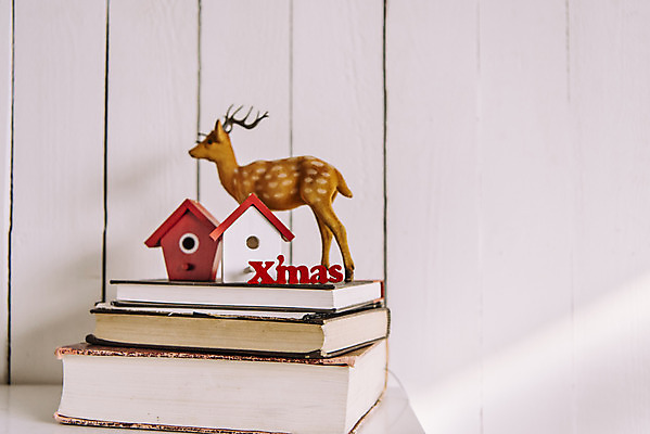 포토 JPG 스튜디오촬영 백그라운드 크리스마스 겨울 탁자 부동산 사슴 실내 사람없음 장식 책 집모양 국내포토 모양 계절 기념일 가구 포유류 내부 재산 파일형식