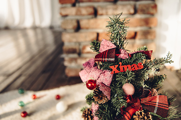 포토 JPG 스튜디오촬영 백그라운드 크리스마스 겨울 벽돌 실내 사람없음 아웃포커스 장식 크리스마스트리 카펫 나무바닥 국내포토 계절 기념일 바닥 촬영기법 내부 파일형식