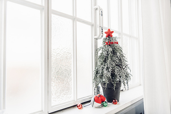 포토 JPG 스튜디오촬영 백그라운드 크리스마스 겨울 창문 실내 사람없음 장식 크리스마스트리 흰색 창가 국내포토 계절 기념일 컬러 내부 파일형식