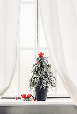 포토 JPG 스튜디오촬영 백그라운드 크리스마스 겨울 실내 사람없음 장식 국내포토 계절 기념일 내부 파일형식