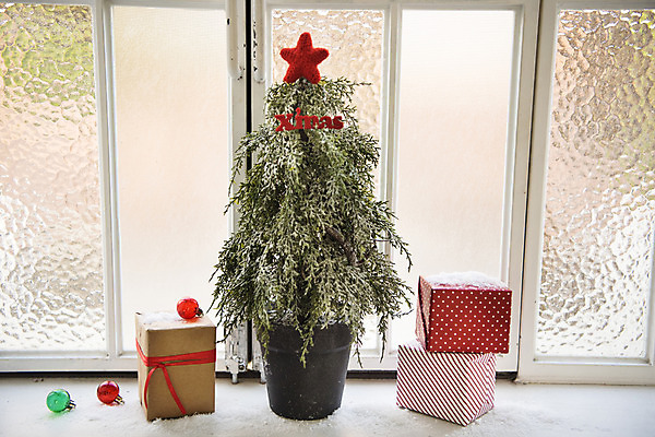 포토 JPG 스튜디오촬영 백그라운드 크리스마스 겨울 창문 실내 사람없음 장식 선물상자 크리스마스트리 창가 별모형 국내포토 계절 기념일 별 선물 내부 상자 모형 파일형식