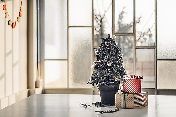 포토 JPG 스튜디오촬영 백그라운드 크리스마스 겨울 창문 식탁 나뭇잎 실내 사람없음 장식 선물상자 크리스마스트리 가랜드 국내포토 계절 기념일 잎 탁자 선물 내부 상자 파티용품 파일형식