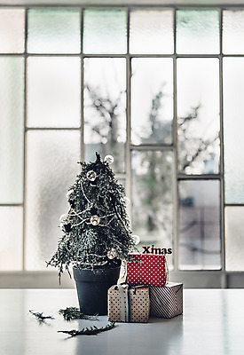 포토 JPG 스튜디오촬영 백그라운드 크리스마스 겨울 창문 탁자 나뭇잎 실내 사람없음 아웃포커스 장식 선물상자 크리스마스트리 국내포토 계절 기념일 가구 잎 촬영기법 선물 내부 상자 파일형식