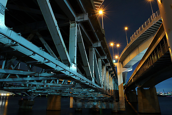 포토 JPG 야경 사람없음 야외 가교 국내포토 건축물 야간 파일형식 풍경_경치