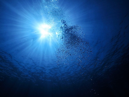 포토 JPG 주간 자연 풍경 사람없음 야외 햇빛 바닷속 수중사진 국내포토 자연요소 태양 수중 생태계 파일형식