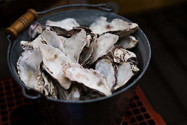 포토 JPG 주간 풍경 사람없음 야외 도시풍경 일본 껍질 굴 도시 국내포토 자연요소 아시아 어패류 파일형식