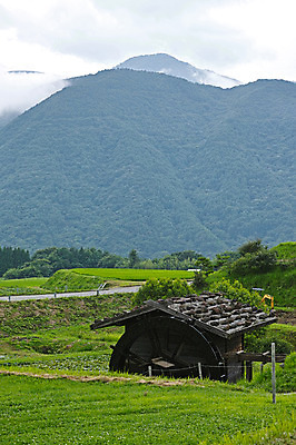 포토 JPG 주간 자연 산 논 풍경 사람없음 야외 물래방아 국내포토 자연요소 농업 생태계 파일형식