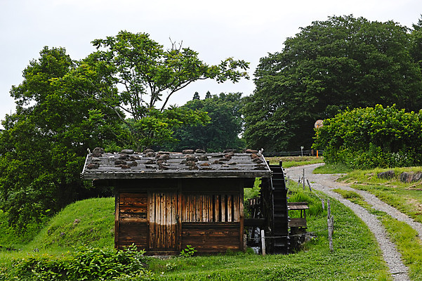 포토 JPG 주간 나무 자연 풍경 사람없음 야외 물래방아 국내포토 자연요소 식물 생태계 파일형식