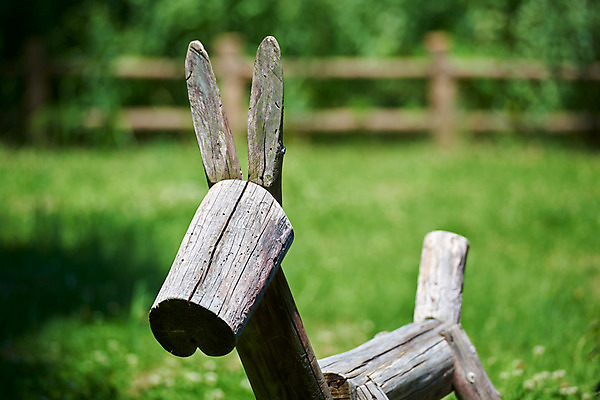 포토 JPG 주간 자연 풍경 사람없음 야외 당나귀 나무인형 국내포토 자연요소 동물 인형 말 생태계 파일형식