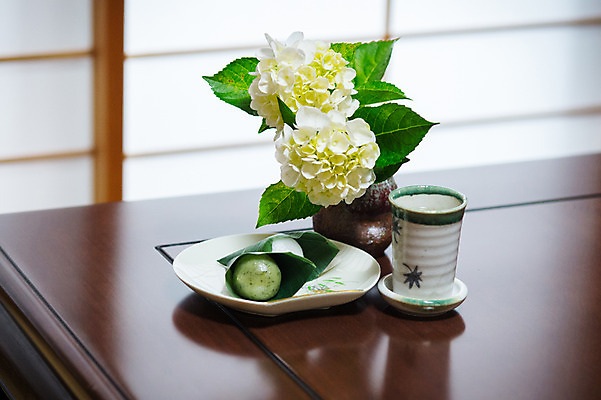 포토 JPG 꽃 화분 실내 사람없음 차 모찌 국내포토 식물 음료 내부 파일형식