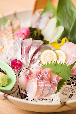 포토 JPG 실내 어류 사람없음 생선회 회 일본음식 국내포토 음식 내부 수중동물 파일형식