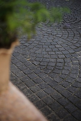 포토 JPG 주간 거리 풍경 사람없음 야외 도시풍경 도시 보도블럭 국내포토 자연요소 보행로 파일형식