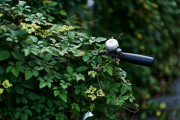 포토 JPG 주간 잎 풍경 사람없음 야외 도시풍경 자전거 경적 국내포토 자연요소 식물 바이크 도시 파일형식