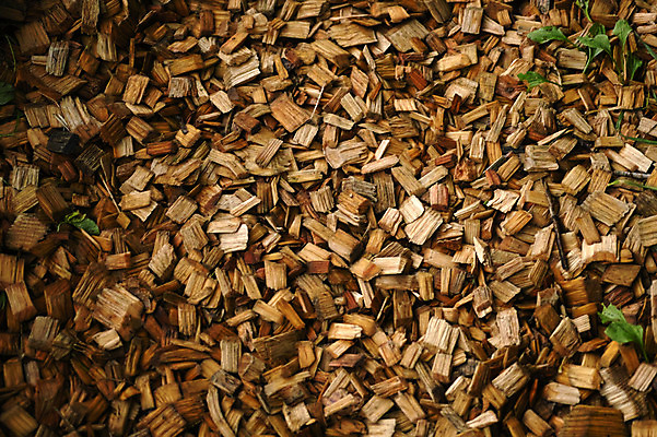 포토 JPG 주간 자연 풍경 사람없음 야외 껍질 나무토막 국내포토 자연요소 생태계 파일형식