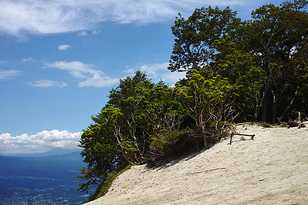 포토 JPG 주간 나무 자연 산 풍경 사람없음 야외 절벽 바위 국내포토 자연요소 식물 돌_바위 생태계 파일형식