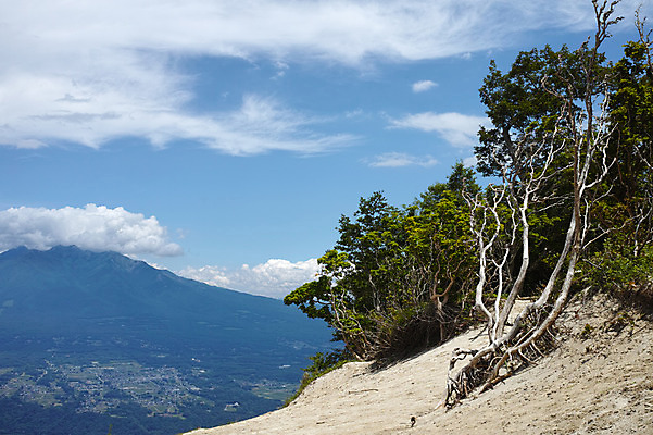 포토 JPG 주간 나무 자연 산 풍경 사람없음 야외 절벽 바위 국내포토 자연요소 식물 돌_바위 생태계 파일형식