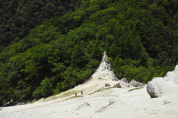 포토 JPG 주간 나무 자연 산 풍경 사람없음 야외 절벽 국내포토 자연요소 식물 생태계 파일형식