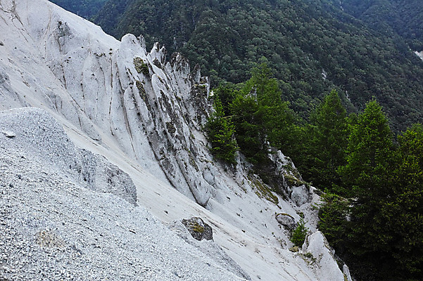 포토 JPG 주간 나무 자연 산 풍경 사람없음 야외 절벽 국내포토 자연요소 식물 생태계 파일형식