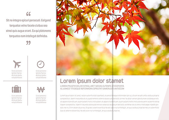 템플릿 표지디자인 북디자인 출판디자인 내지 리플렛 시계 단풍 북커버 3단접지 자연 비행기 팜플렛 사람없음 여행가방 가을 원화 이미지템플릿 AI파일 계절 잎 돈 가방 항공교통 대중교통 생태계 파일형식 벡터