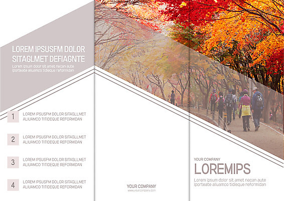 나무 템플릿 표지디자인 북디자인 출판디자인 표지 리플렛 단풍 북커버 3단접지 자연 팜플렛 여러명 뒷모습 등산 가을 숲 등산객 이미지템플릿 AI파일 식물 계절 뷰포인트 다수 잎 사람 트래킹 생태계 파일형식 벡터