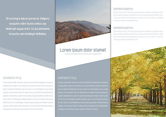 나무 템플릿 표지디자인 북디자인 출판디자인 내지 리플렛 단풍 북커버 3단접지 자연 산 팜플렛 사람없음 가을 숲 가로수 이미지템플릿 AI파일 식물 계절 잎 생태계 파일형식 벡터