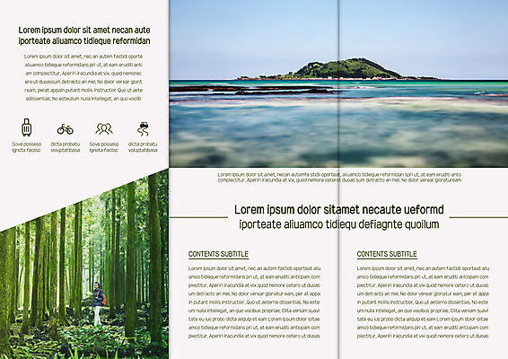 나무 템플릿 표지디자인 북디자인 출판디자인 여자 내지 리플렛 바다 섬 북커버 3단접지 자연 한명 팜플렛 20대 성인 트래킹 한국인 숲 이미지템플릿 AI파일 식물 1 레저 사람 동양인 청년 생태계 파일형식 벡터